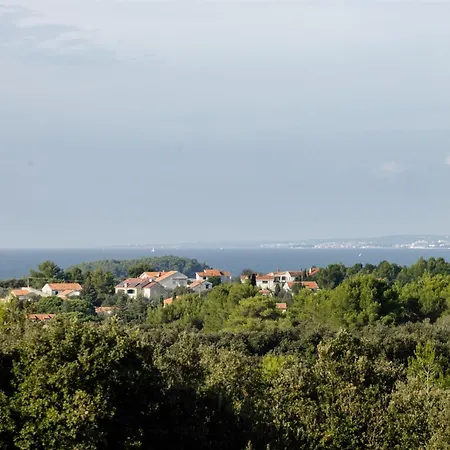 Pero -an Artists Ferienhaus Ždrelac