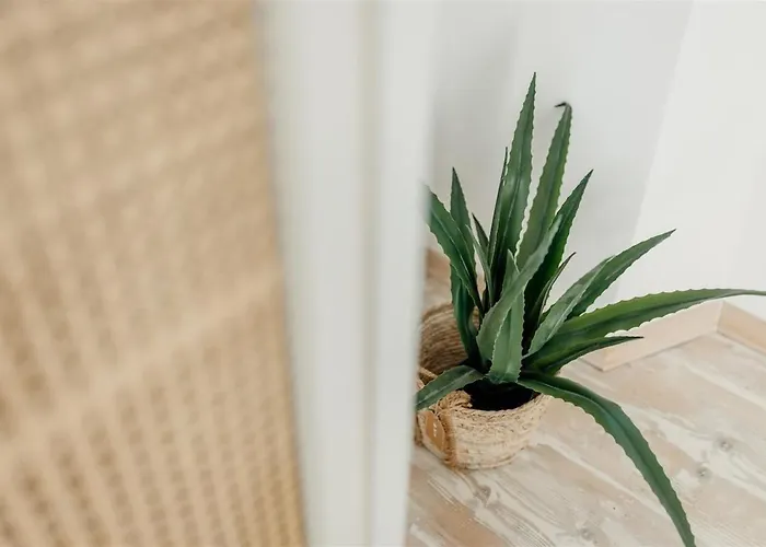 Pero -an Artists Prázdninový dům Ždrelac