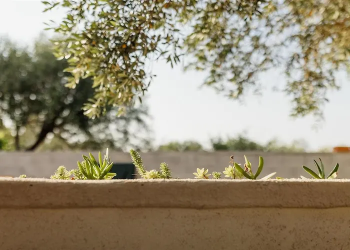 Prázdninový dům Pero -an Artists *