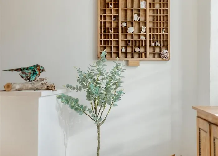 Pero -an Artists Ždrelac