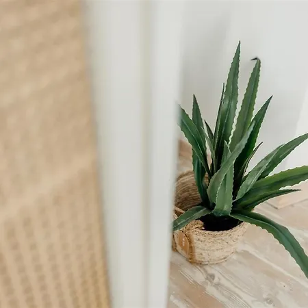 Pero -an Artists بيت للعطل Ždrelac