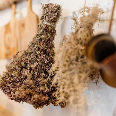 Pero -an Artists بيت للعطل *