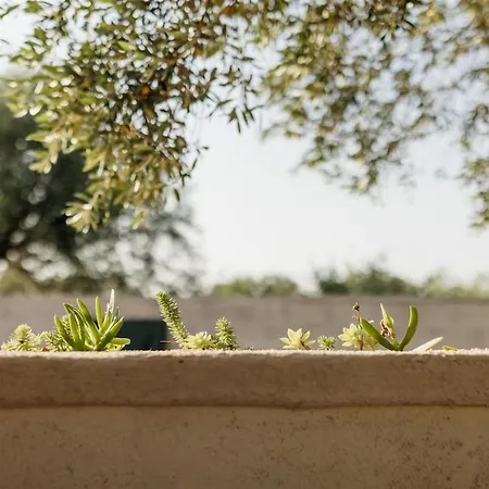 بيت للعطل Pero -an Artists *