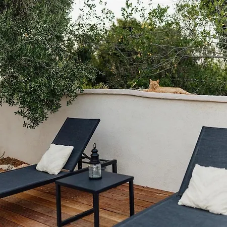 Pero -an Artists * Ždrelac