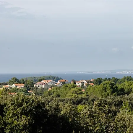 Pero -an Artists Ždrelac