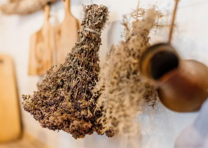 Pero -an Artists 펜션 *