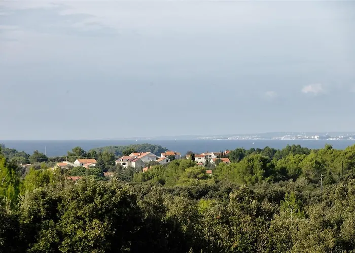 Pero -an Artists Ždrelac